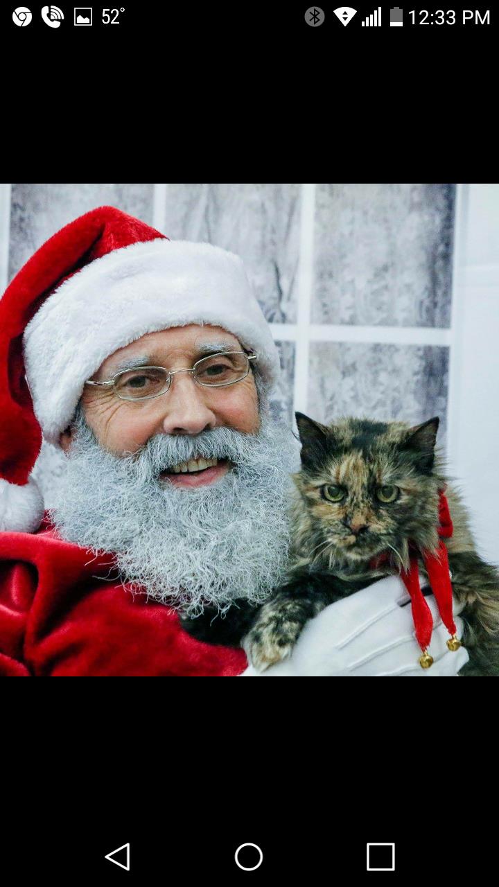 Santa holding a cat
